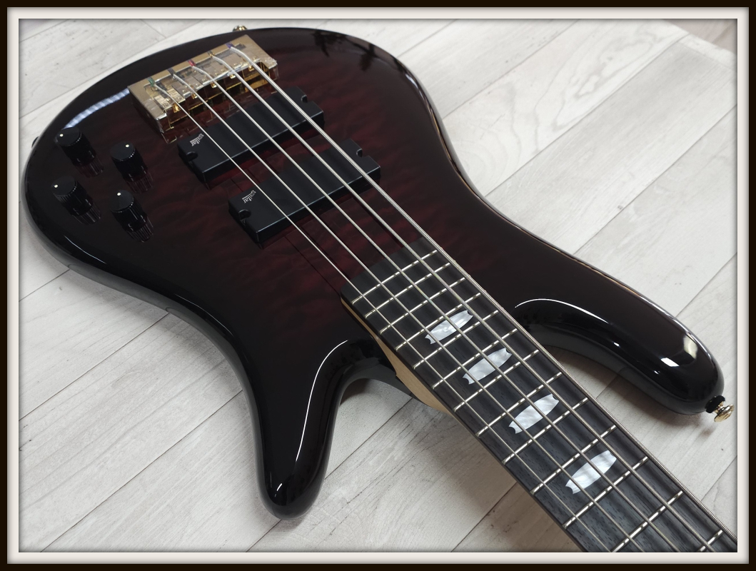 Spector Icon NS-5 Bolt-On, Black Cherry Gloss